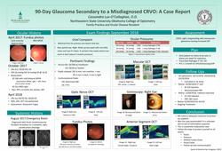 90-Day Glaucoma Secondary to a Misdiagnosed CRVO: A Case Report