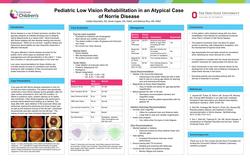 Pediatric Low Vision Rehabilitation in an Atypical Case of Norrie Disease