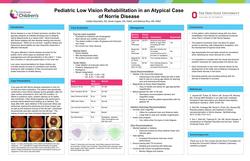 Pediatric Low Vision Rehabilitation in an Atypical Case of Norrie Disease