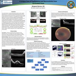 A Unique Case of Papilledema and Neuroretinitis from Cat Scratch Fever