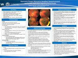 Pigmentary Changes Observed in Hereditary Hemochromatosis and Possible Implications Regarding Retinal Health