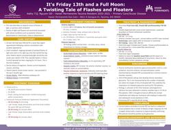 It's Friday 13th and a Full Moon - a Twisting Tale of Flashes and Floaters
