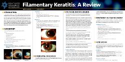 A Review of Filamentary Keratitis