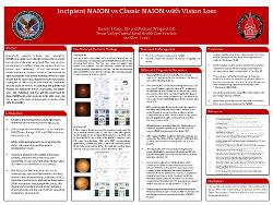 Incipient NAION vs Classic NAION With Vision Loss