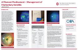 Management of Filamentary Keratitis with Amniotic Membranes