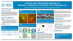 Ischemic Optic Neuropathy Secondary to Nocturnal Hypotension Associated with Furosemide Use