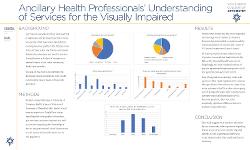 Ancillary Health Professionals' Understanding of Services for the Visually Impaired