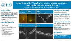 Importance of OCT imaging in a case of bilateral optic nerve head colobomas with an optic disc pit