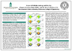 A Case of Orthokeratology and Dry Eye