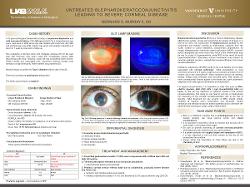 Untreated Blepharokeratoconjunctivitis Leading to Severe Corneal Disease and Vision Loss
