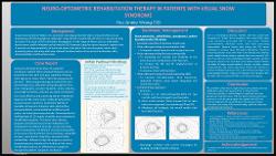 You Annie Wang, OD NEURO-OPTOMETRIC REHABILITATION THERAPY IN PATIENTS WITH VISUAL SNOW SYNDROME