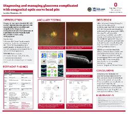 Congenital Optic Nerve Head Pits and the Diagnosis and Management of Glaucoma