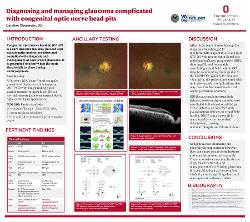Caroline Obermeier, OD Congenital Optic Nerve Head Pits and the Diagnosis and Management of Glaucoma