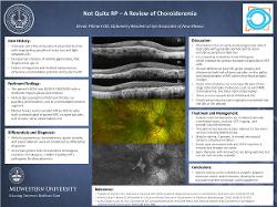 Not Quite RP - A Review of Choroideremia