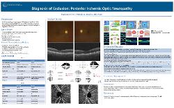 Inwhan Lee, OD Diagnosis of exclusion: Posterior ischemic optic neuropathy
