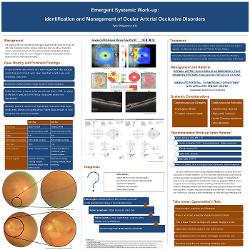 Tyler D'Agostino, OD Emergent Systemic Work-up: Identification and Management of Ocular Arterial Occlusive Disorders