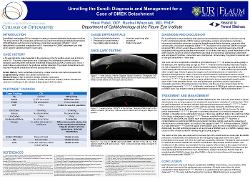 Unrolling the Scroll: Diagnosis and Management for a Case of DMEK Failure