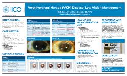 Vogt-Koyanagi-Harada (VKH) Disease: Low Vision Management