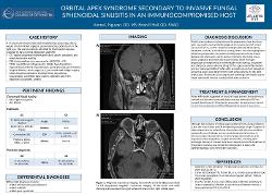 Orbital Apex Syndrome Secondary to Invasive Fungal Sphenoidal Sinusitis in an Immunocompromised Host