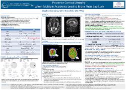 Posterior Coritcal Atrophy: When Multiple Accidents Point to More Than Bad Luck