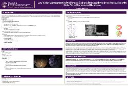 Low Vision Management in Proliferative Diabetic Retinopathy and the Association with Optic Nerve Damage and Glaucoma