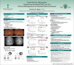 Small Device, Big Impact: Integrating Handheld ERG into the Clinical Management of Inherited Retinal Disease